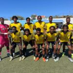 Botafogo Segue Imbatível: Jardel Decide e Liderança Continua Firme!